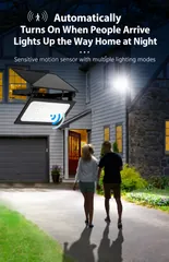 Solar Motion Sensor Floodlight thumbnail 4